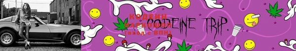 стафф Михайлов