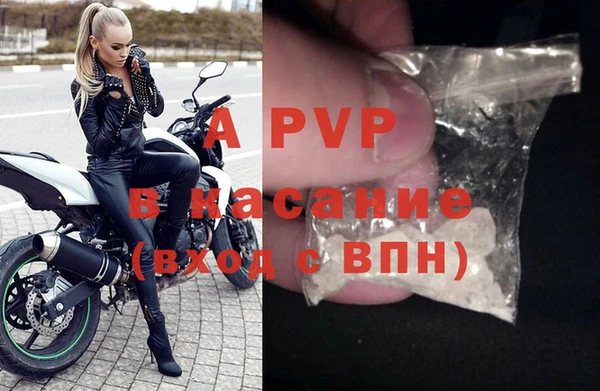 стафф Михайлов
