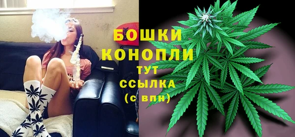 стафф Михайлов