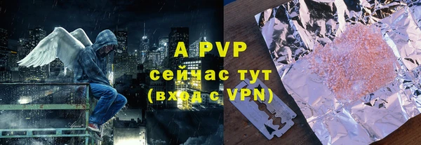 прущие грибы Абаза