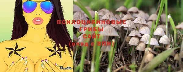 соль курить ск Михайловка